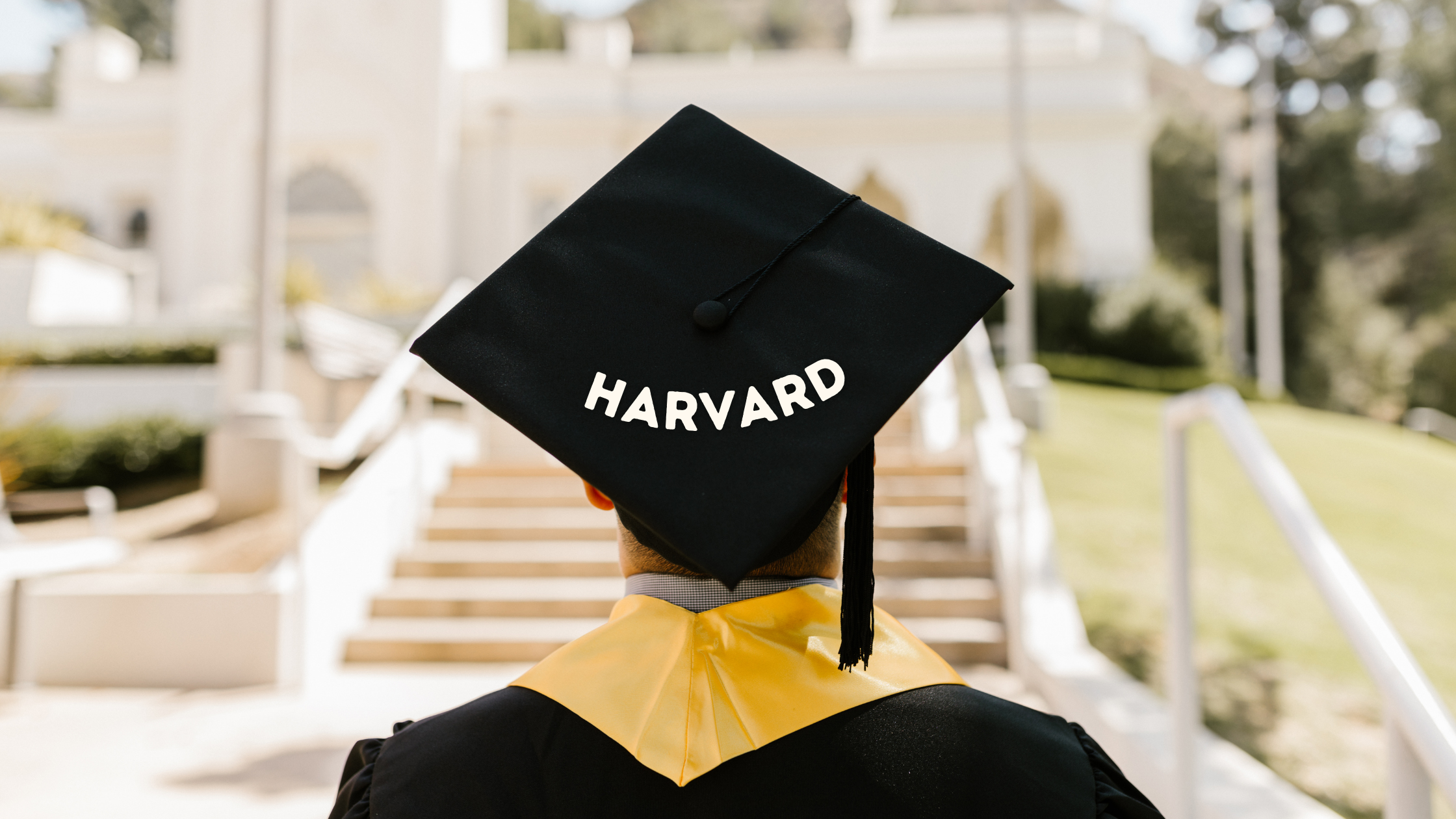 Cómo ganar más dinero que un graduado de Harvard